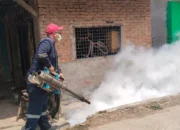 Cegah Penyebaran DBD, UPT Puskesmas Cipayung Lakukan Giat Fogging
