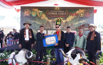 Pangdam III/Siliwangi Dukung Pelestarian Domba Garut Melalui Festival Peternak di Cimahi