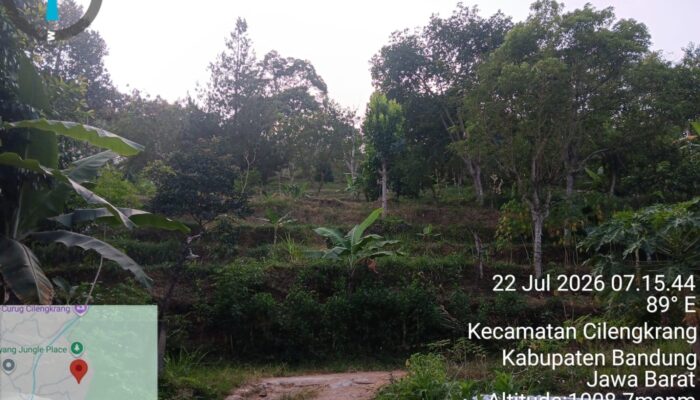 Musim Kemarau Panjang, Debit Air di Cilengkrang Menyusut: Konservasi Hutan Jadi Kunci Utama Menjaga Sumber Mata Air